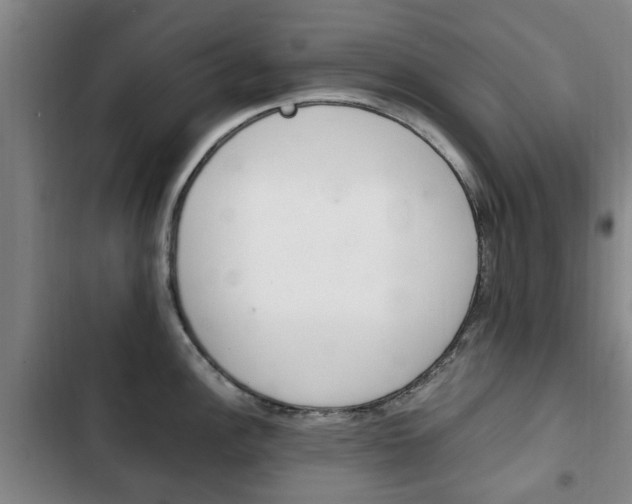 X0000102761148200808180925