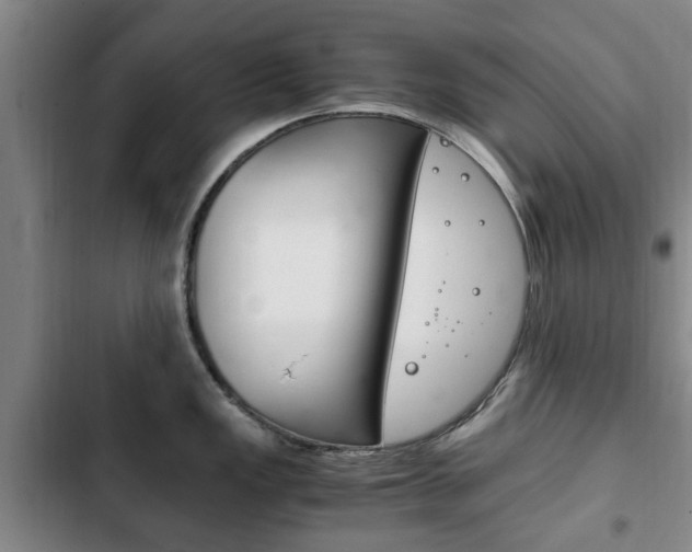 X0000102761149200808180925