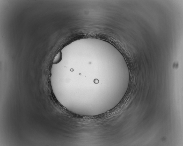 X0000102761153200808180925