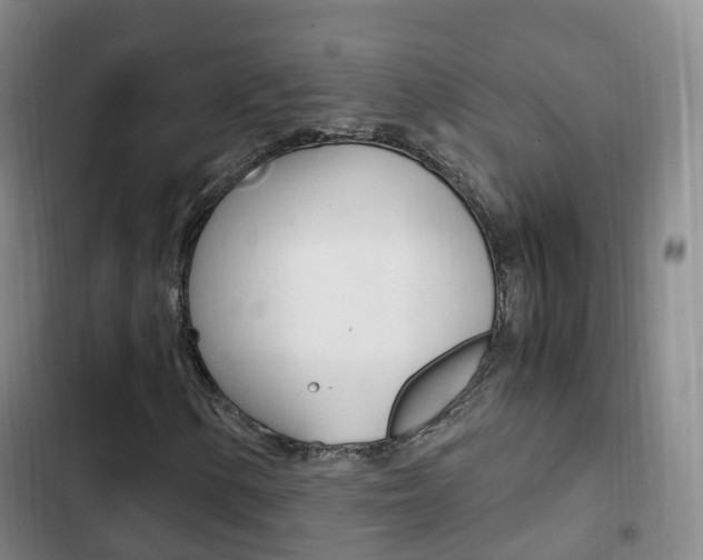 X0000102761154200808180925