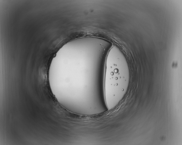 X0000102761155200808180925