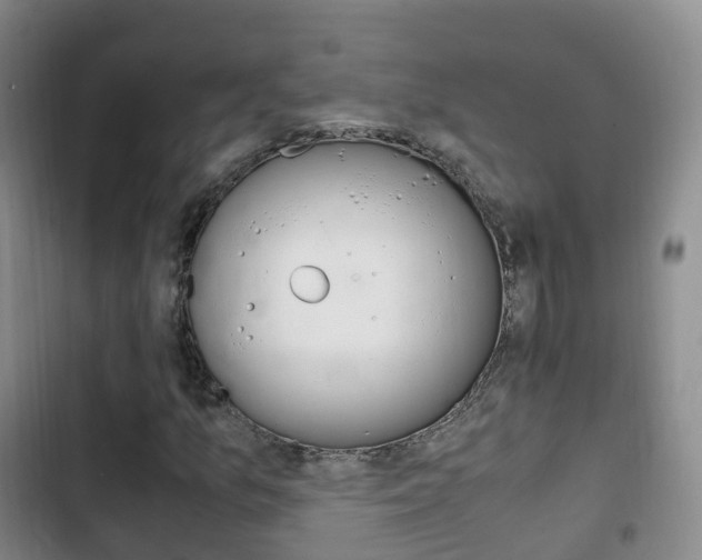 X0000102761157200808180925