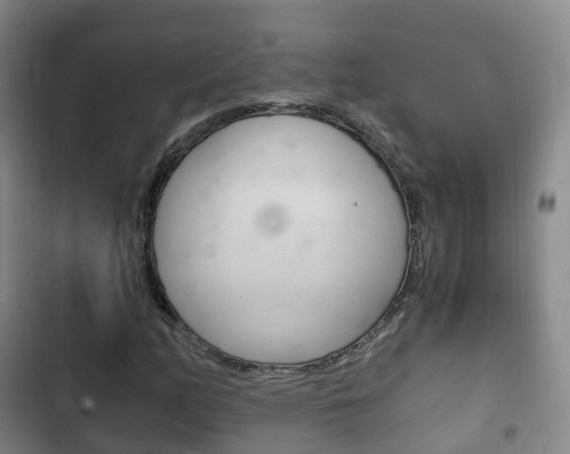 X0000102761158200808180924