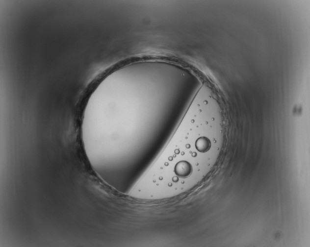 X0000102761160200808180924