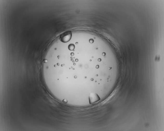 X0000102761161200808180924