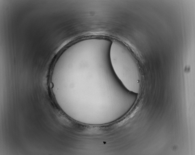 X0000102761162200808180924