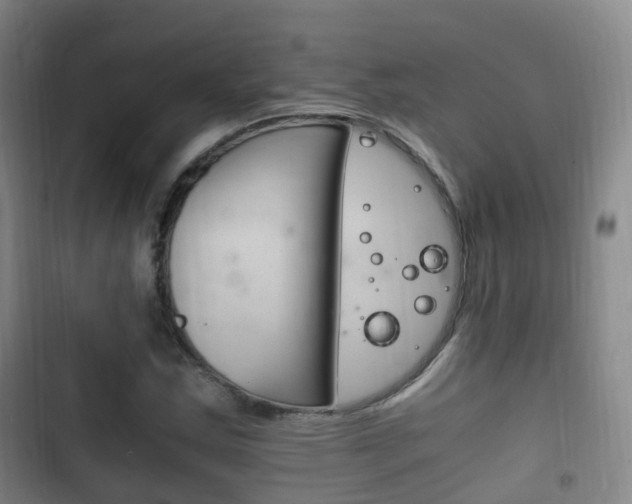 X0000102761163200808180924