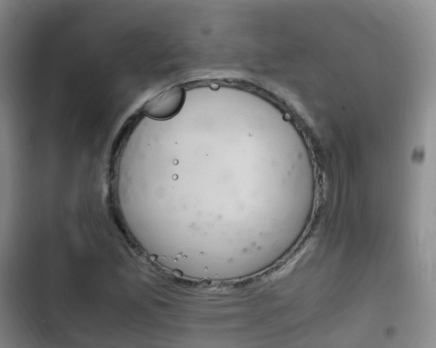X0000102761165200808180924