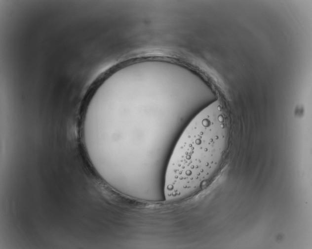 X0000102761166200808180924