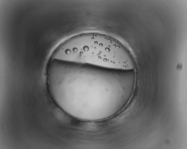 X0000102761167200808180924