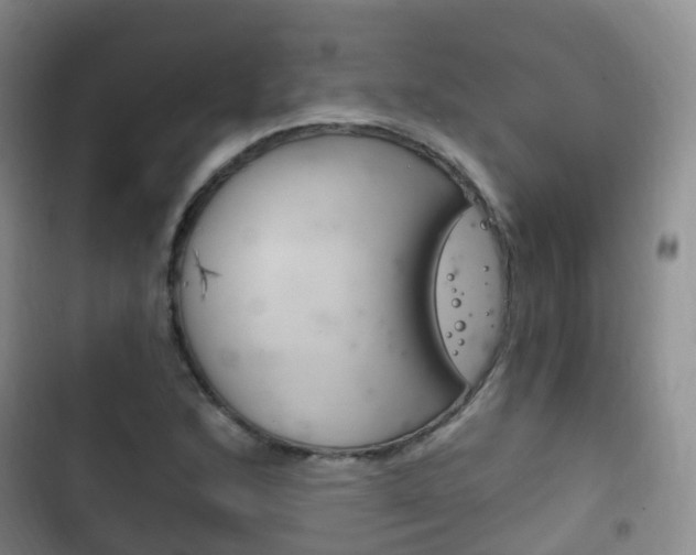 X0000102761168200808180924