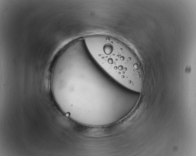 X0000102761171200808180924