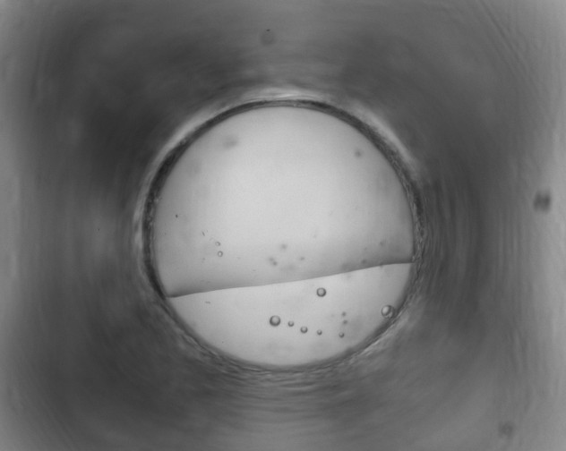 X0000102761173200808180924