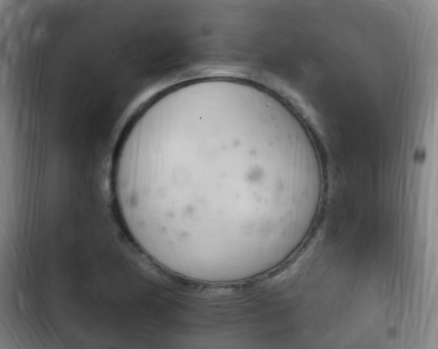 X0000102761174200808180924