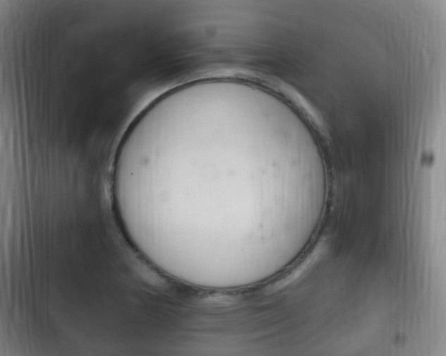 X0000102761178200808180924