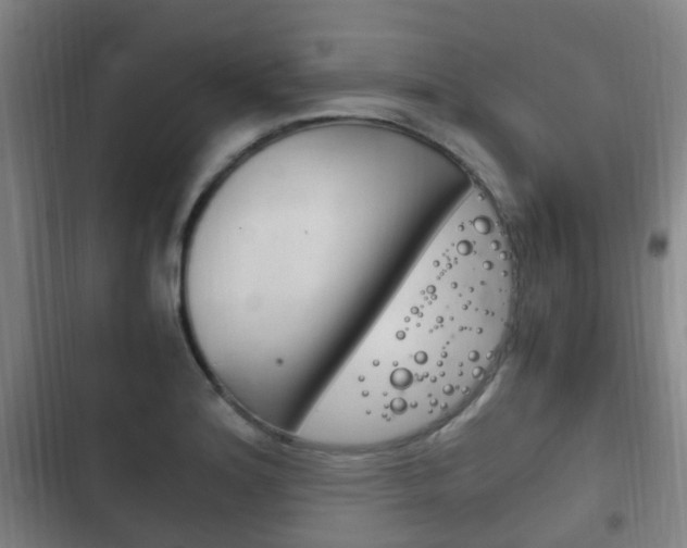 X0000102761180200808180924