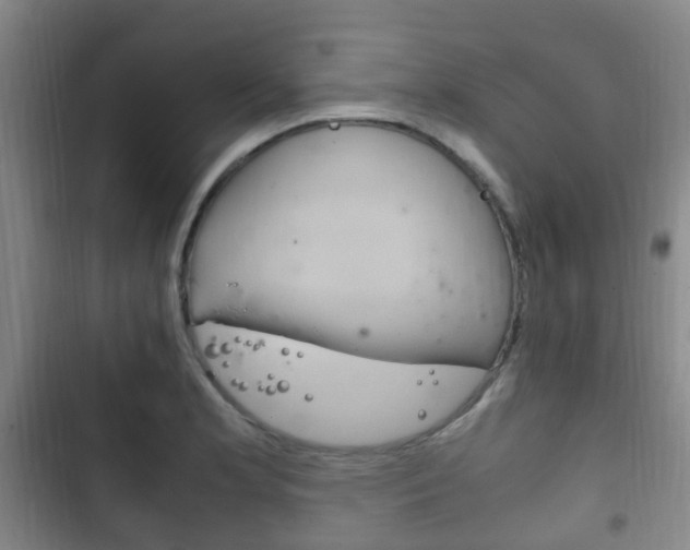 X0000102761181200808180924