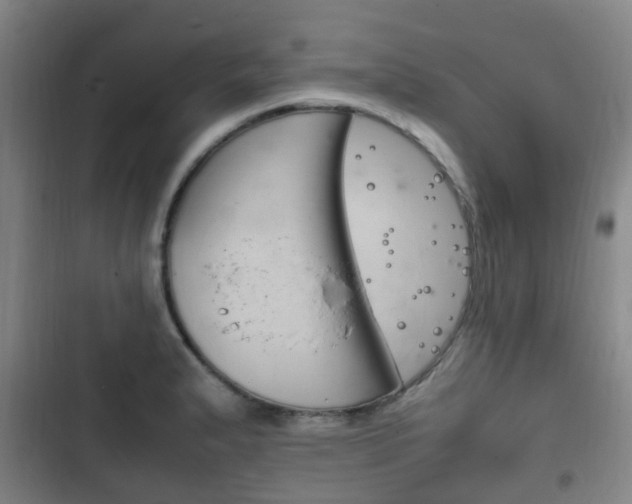X0000102761183200808180924