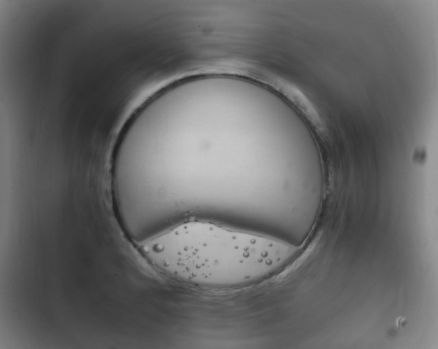 X0000102761184200808180924