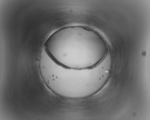 X0000102761185200808180924