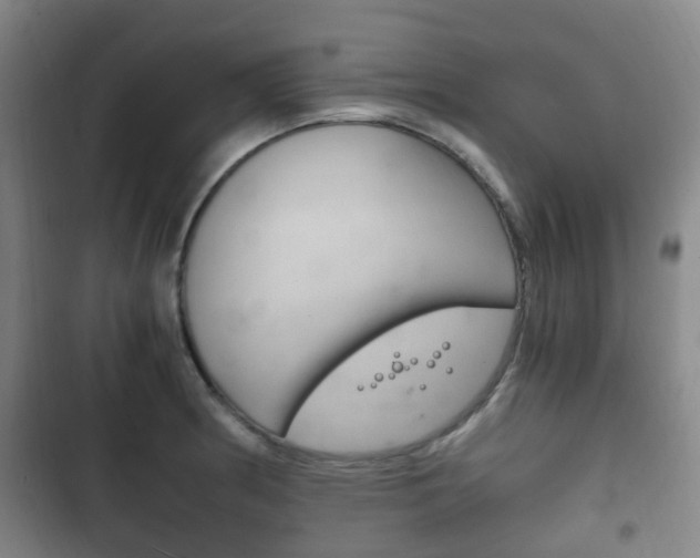 X0000102761186200808180924