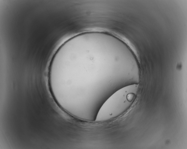 X0000102761187200808180924