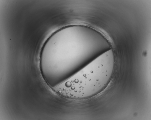 X0000102761188200808180924