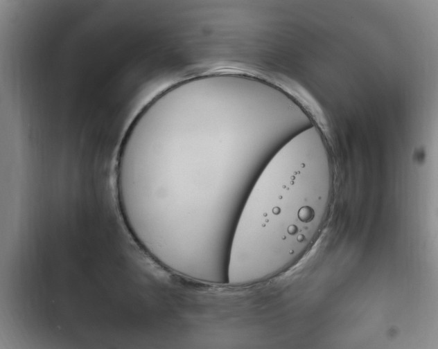 X0000102761190200808180924