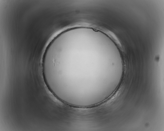 X0000102761192200808180924