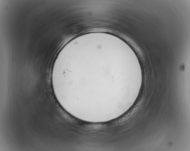 X0000102761193200808180924