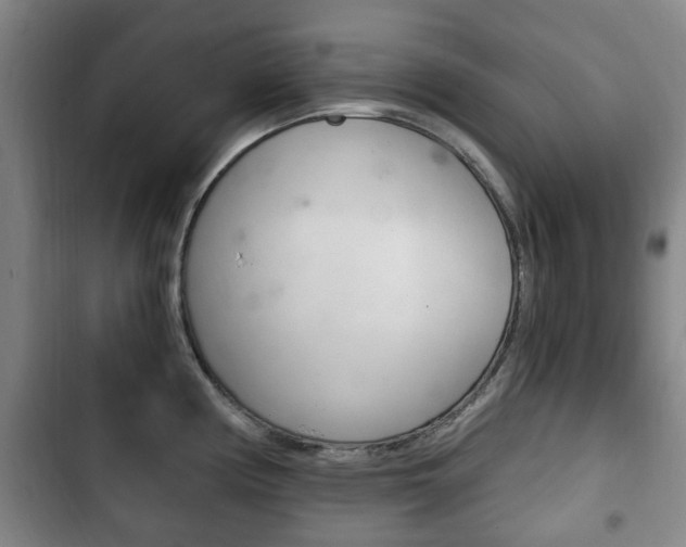 X0000102761194200808180924