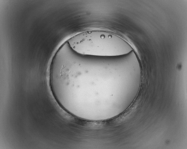 X0000102761195200808180924
