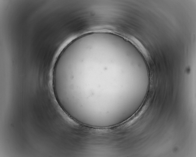 X0000102761196200808180924