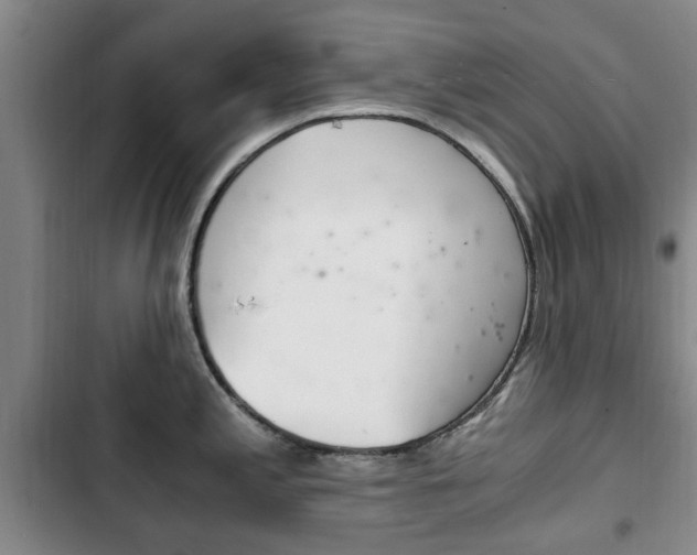 X0000102761197200808180924
