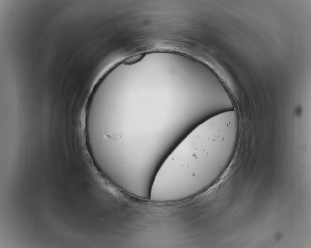 X0000102761198200808180924