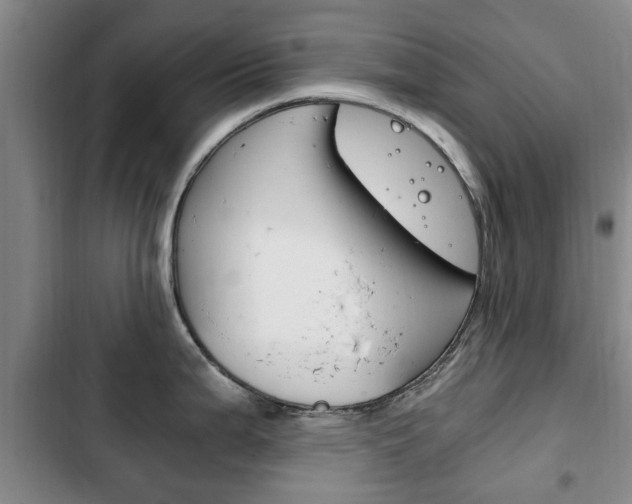 X0000102761199200808180924
