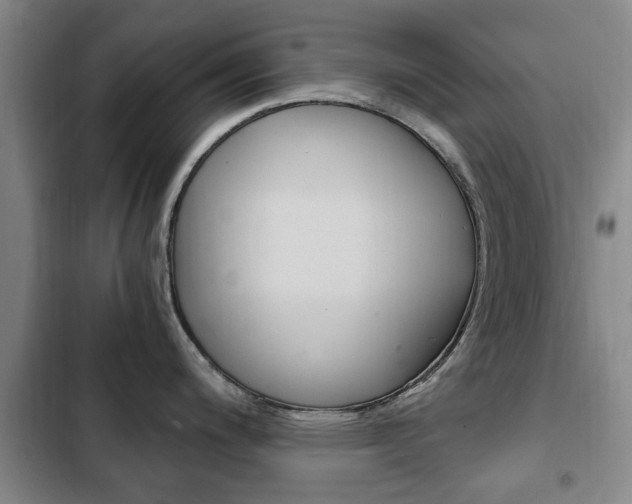 X0000102761200200808180924