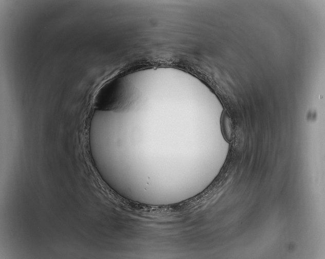 X0000102761201200808180923