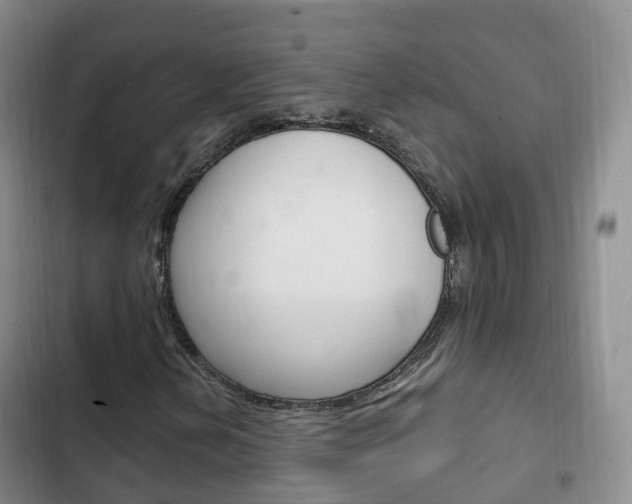X0000102761202200808180923