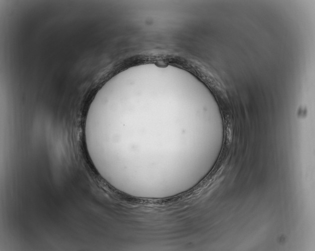 X0000102761204200808180923