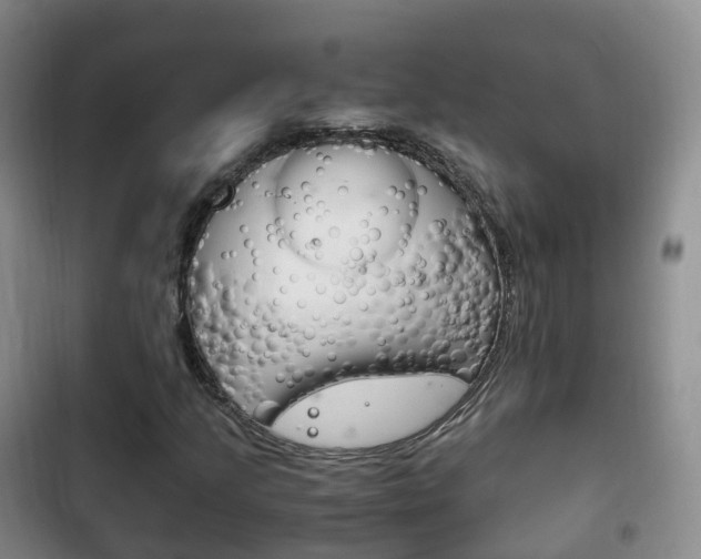 X0000102761205200808180923
