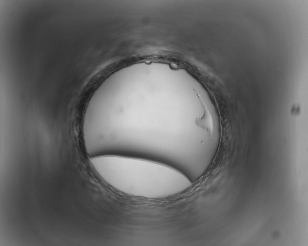 X0000102761206200808180923