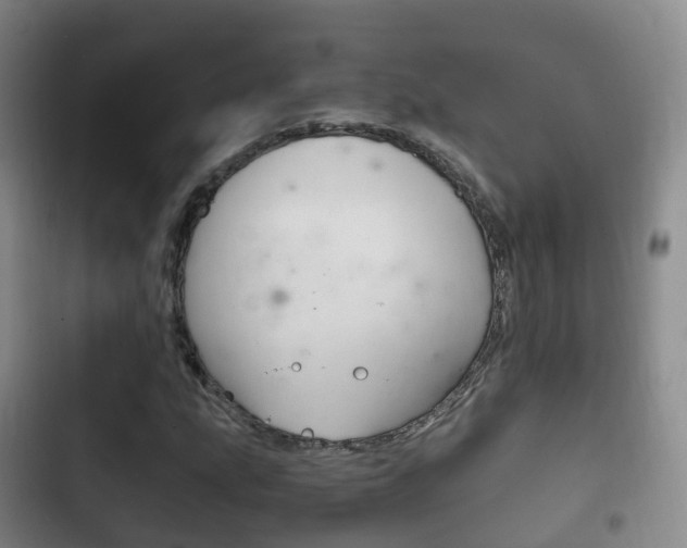 X0000102761207200808180923