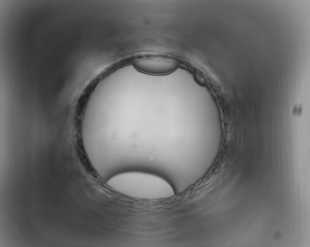 X0000102761208200808180923