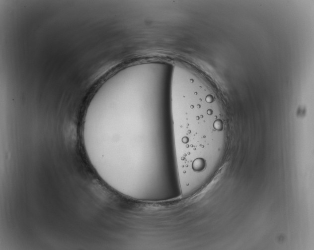 X0000102761209200808180923