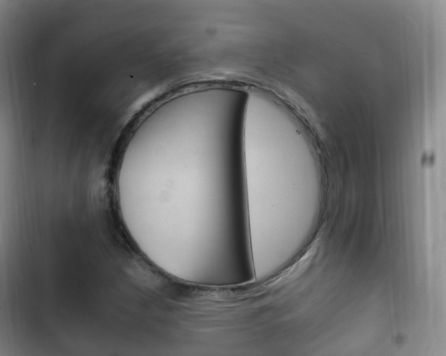 X0000102761210200808180923