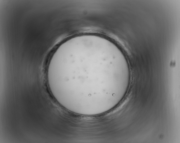 X0000102761211200808180923