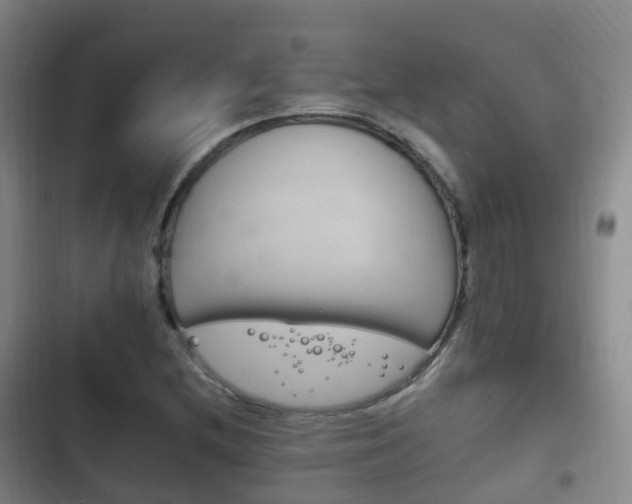 X0000102761212200808180923