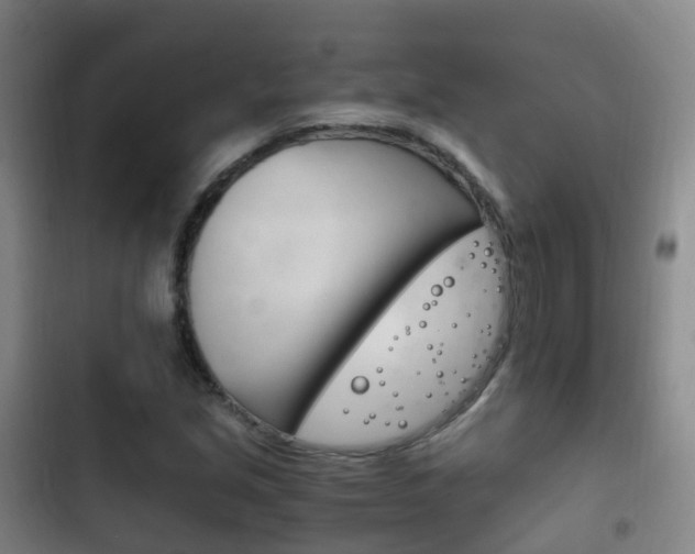 X0000102761213200808180923