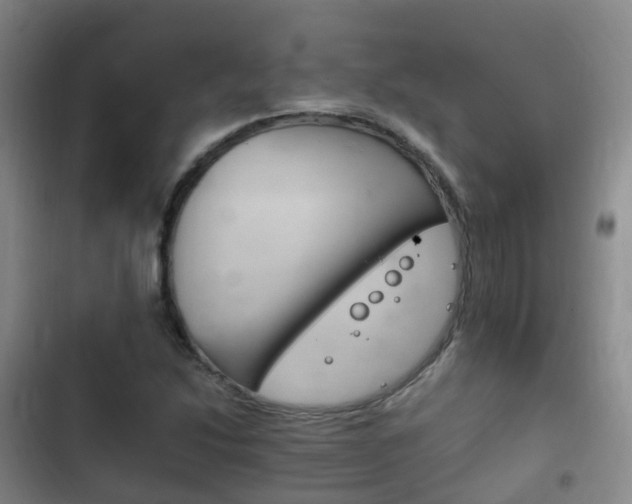 X0000102761214200808180923